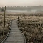 Berg Klínovec * Loučná pod Klínovcem
