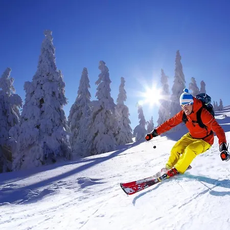 Apartment Berg Klinovec Loucna pod Klinovcem