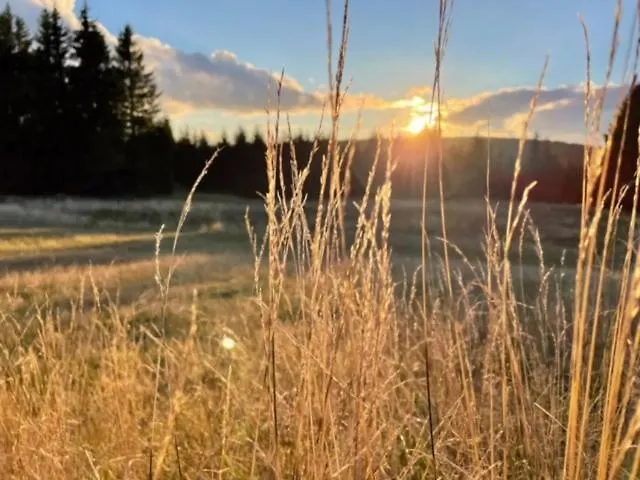 Berg Klínovec * Loučná pod Klínovcem